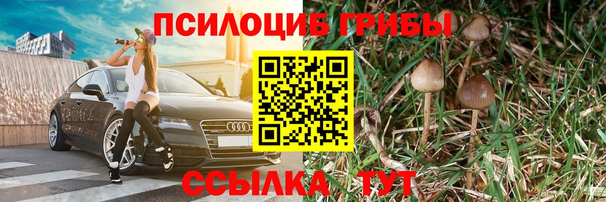 Псилоцибиновые грибы MAGIC MUSHROOMS Вышний Волочёк